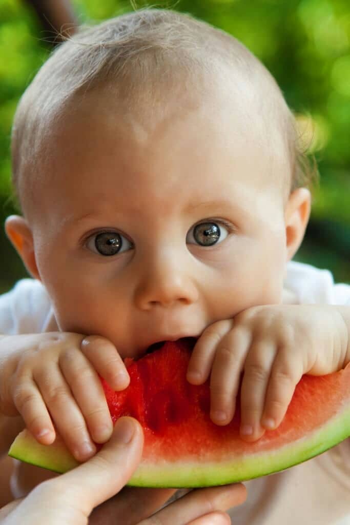 baby-bite-boy-child-40972