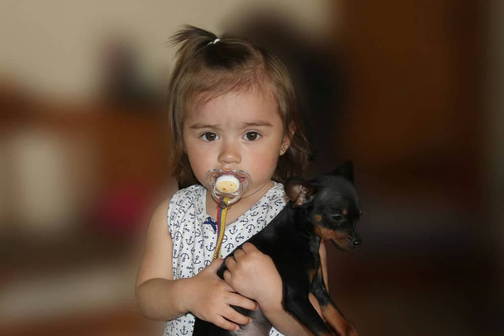 dziecko i pies
